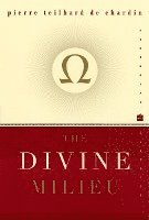 bokomslag The Divine Milieu