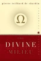 Divine Milieu 1