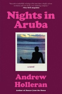 bokomslag Nights in Aruba