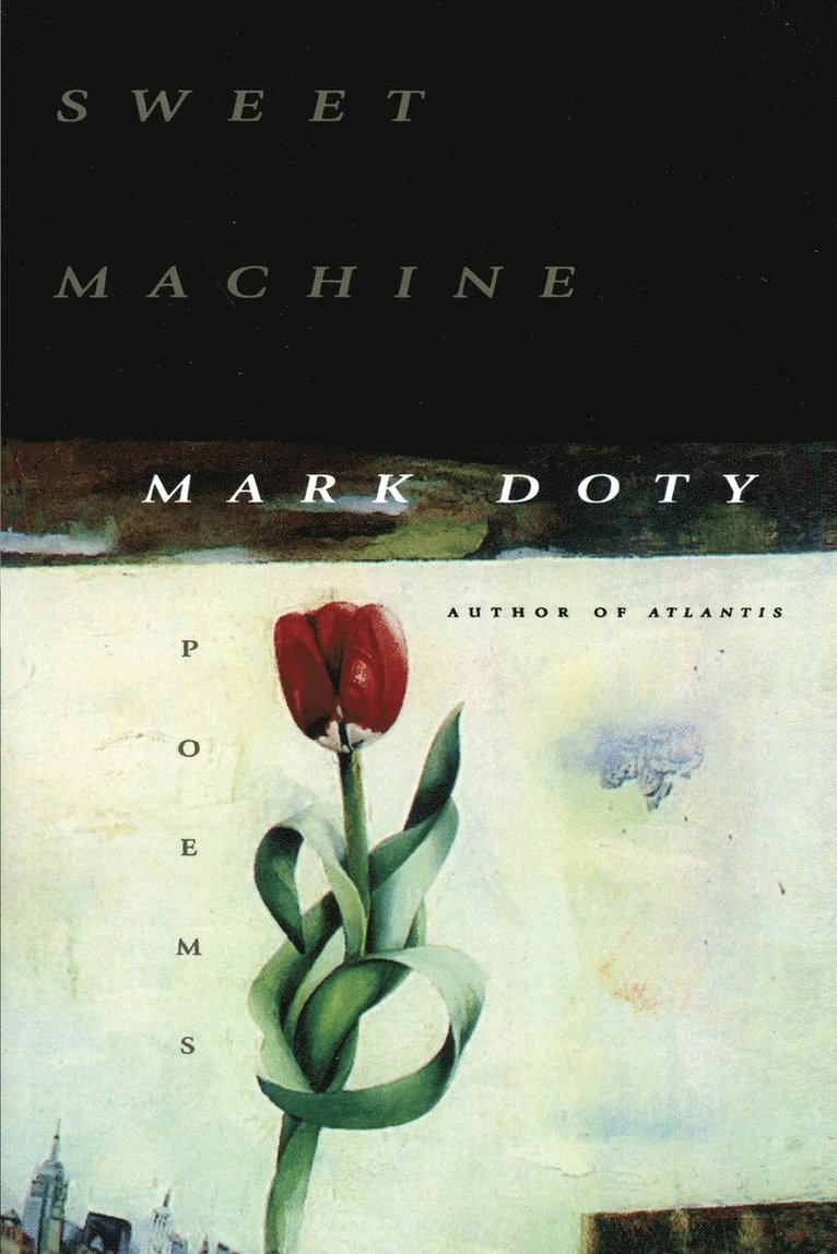 Sweet Machine 1