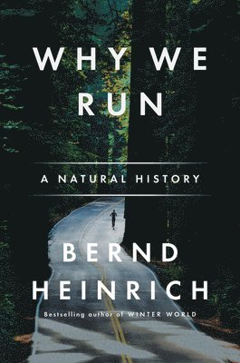 Bernd Heinrich - Why We Run, Häftad