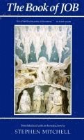 bokomslag The Book of Job