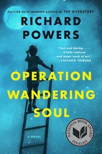 bokomslag Operation Wandering Soul