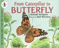 bokomslag From Caterpillar To Butterfly Big Book