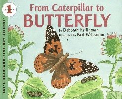 From Caterpillar To Butterfly Big Book 1