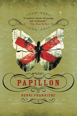 Papillon 1