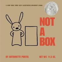 bokomslag Not A Box