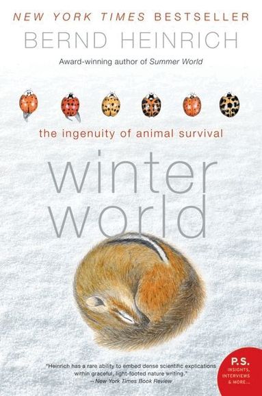 Bernd Heinrich - Winter World: The Ingenuity of Animal Survivor, Häftad