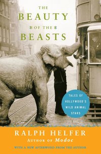 bokomslag Beauty of the Beasts, The: Tales of Hollywood's Wild Animal Stars