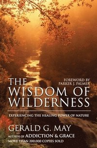 bokomslag The Wisdom of Wilderness