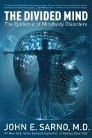 The Divided Mind