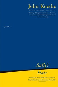 bokomslag Sally's Hair: Poems