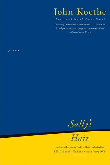 bokomslag Sally's Hair: Poems