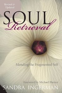 bokomslag Soul Retrieval