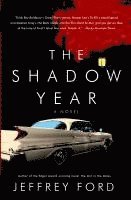 bokomslag The Shadow Year