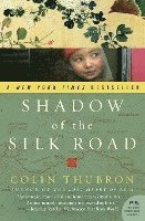 bokomslag Shadow of the Silk Road