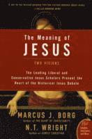 bokomslag The Meaning of Jesus