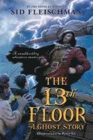 bokomslag The 13th Floor