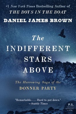 bokomslag Indifferent Stars Above