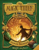 bokomslag Magic Thief: Found