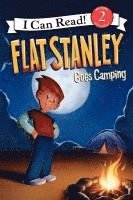 bokomslag Flat Stanley Goes Camping