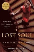 bokomslag The Lost Soul