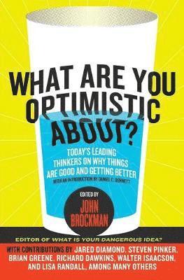 What Are You Optimistic About? 1