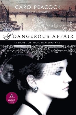bokomslag Dangerous Affair