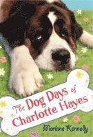 bokomslag The Dog Days of Charlotte Hayes