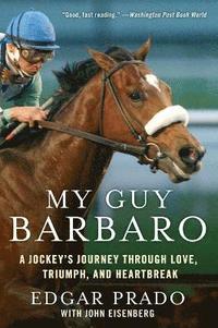 bokomslag My Guy Barbaro