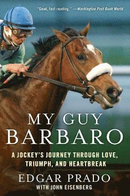 bokomslag My Guy Barbaro