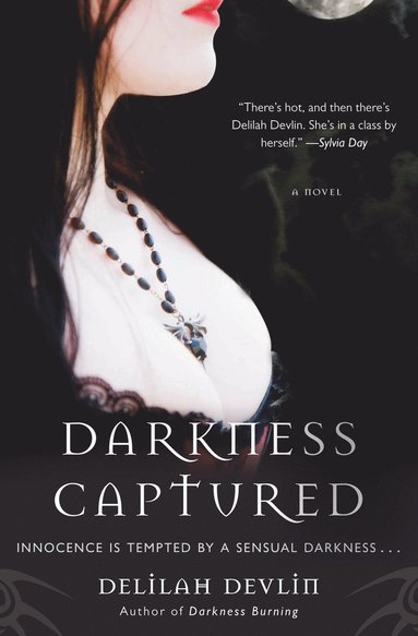 Delilah Devlin - Darkness Captured, Häftad