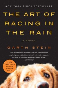 bokomslag Art Of Racing In The Rain