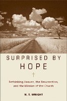 bokomslag Surprised By Hope