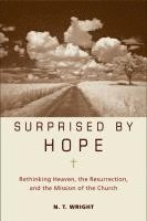 bokomslag Surprised by Hope