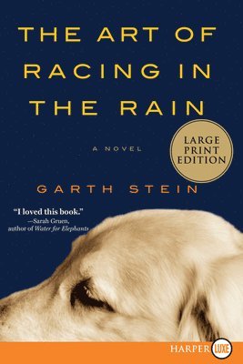 The Art of Racing in the Rain 1