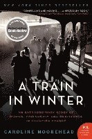 Train In Winter 1