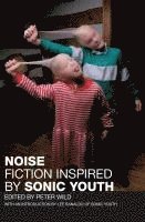 Noise: Fiction Inspired by Sonic Youth 1