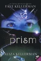 bokomslag Prism