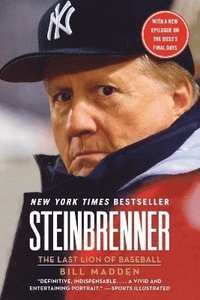 bokomslag Steinbrenner