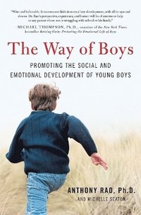 bokomslag The Way of Boys