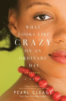 Pearl Cleage - What Looks LIke Crazy On an Ordinary Day, Häftad