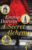 bokomslag A Secret Alchemy