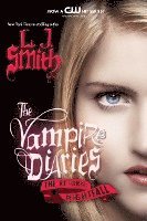 bokomslag The Vampire Diaries: The Return - Nightfall