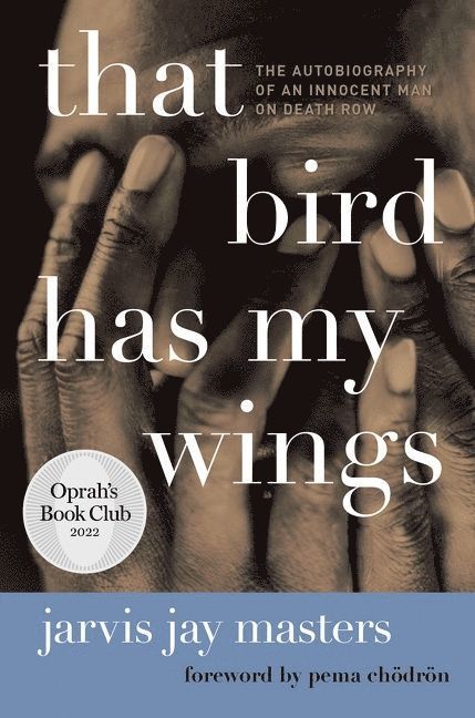 That Bird Has My Wings