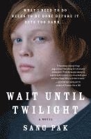 bokomslag Wait Until Twilight