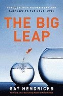 bokomslag The Big Leap