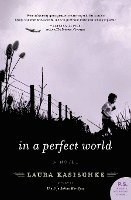 bokomslag In A Perfect World