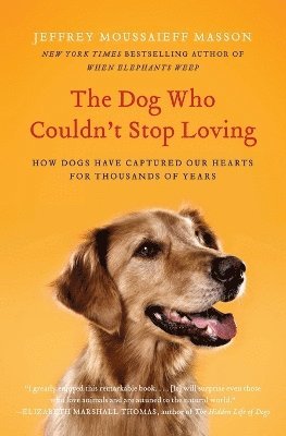 Dog Who Couldn't Stop Loving