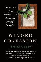 Winged Obsession 1